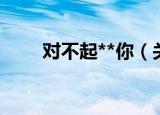 对不起**你（关于对不起**你介绍）