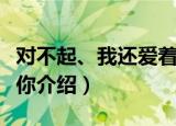 对不起、我还爱着你（关于对不起、我还爱着你介绍）