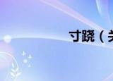 寸跷（关于寸跷介绍）