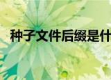 种子文件后缀是什么格式（种子文件后缀）