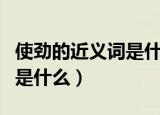 使劲的近义词是什么准确答案（使劲的近义词是什么）