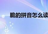 脆的拼音怎么读音（脆的拼音和组词）