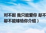对不起 我只能爱你 却不能嫁给你（关于对不起 我只能爱你 却不能嫁给你介绍）
