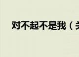 对不起不是我（关于对不起不是我介绍）