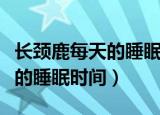 长颈鹿每天的睡眠时间几个小时（长颈鹿每天的睡眠时间）