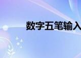 数字五笔输入（数字五笔激活码）