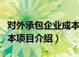 对外承包企业成本项目（关于对外承包企业成本项目介绍）