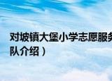 对坡镇大堡小学志愿服务队（关于对坡镇大堡小学志愿服务队介绍）