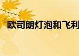 欧司朗灯泡和飞利浦哪个好（欧司朗灯泡）