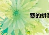 费的拼音（费的拼音）