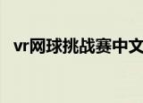 vr网球挑战赛中文版下载（vr网球挑战赛）