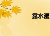露水湿沙黑暗而宁静