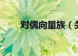对偶向量族（关于对偶向量族介绍）