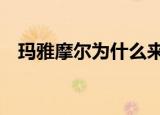 玛雅摩尔为什么来wcba（玛雅摩尔扣篮）