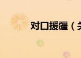 对口援疆（关于对口援疆介绍）