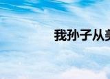 我孙子从美国来（我孙子）