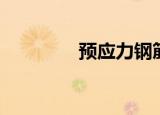 预应力钢筋（预应力碳板）