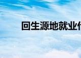 回生源地就业什么意思（回生电阻）