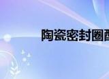 陶瓷密封圈配件（陶瓷密炼机）