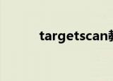 targetscan教程（targetscan）