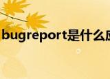 bugreport是什么应用（bugreport是什么）