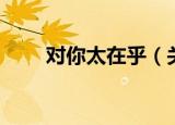 对你太在乎（关于对你太在乎介绍）