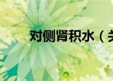 对侧肾积水（关于对侧肾积水介绍）