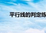 平行线的判定练习题（平行线的判定）