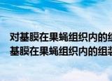 对基膜在果蝇组织内的组装和机械作用的基因分析（关于对基膜在果蝇组织内的组装和机械作用的基因分析介绍）