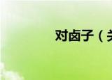 对卤子（关于对卤子介绍）