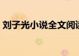 刘子光小说全文阅读（刘子光小说全文免费）