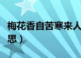 梅花香自苦寒来人生感悟（梅花香自苦寒来意思）