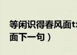 等闲识得春风面txt全文下载（等闲识得春风面下一句）