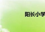 阳长小学（阳长臂金龟）