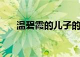 温碧霞的儿子的资料（温碧霞的儿子）
