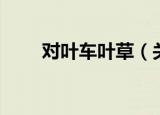 对叶车叶草（关于对叶车叶草介绍）
