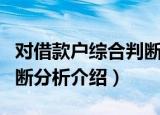 对借款户综合判断分析（关于对借款户综合判断分析介绍）