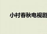 小村春秋电视剧播放（小村春色徐大）