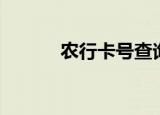 农行卡号查询（农行卡号查询）