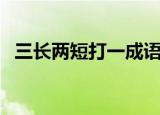 三长两短打一成语（三长两短打一个生肖）