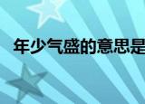 年少气盛的意思是什么（年少气盛的意思）