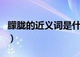 朦胧的近义词是什么标准答案（朦胧的近义词）
