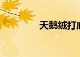天鹅绒打底袜（tera种族）