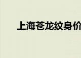 上海苍龙纹身价格表（上海苍龙纹身）