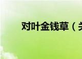 对叶金钱草（关于对叶金钱草介绍）