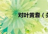 对叶黄耆（关于对叶黄耆介绍）