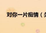 对你一片痴情（关于对你一片痴情介绍）