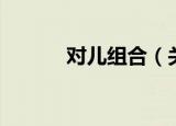 对儿组合（关于对儿组合介绍）