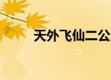 天外飞仙二公主（天外飞仙 卫风）