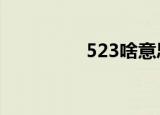 523啥意思（5233游戏）